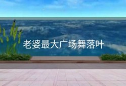 老婆最大广场舞落叶