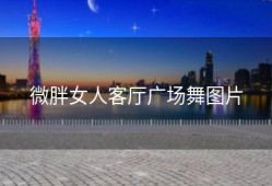 微胖女人客厅广场舞图片