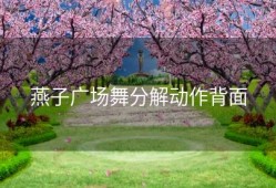 燕子广场舞分解动作背面