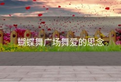 蝴蝶舞广场舞爱的思念