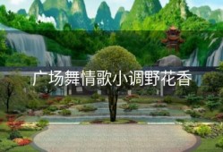 广场舞情歌小调野花香