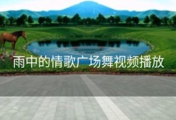 雨中的情歌广场舞视频播放