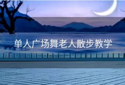 单人广场舞老人散步教学