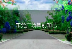 东莞广场舞别知己