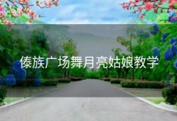 傣族广场舞月亮姑娘教学