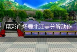 精彩广场舞北江美分解动作