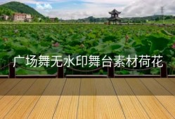 广场舞无水印舞台素材荷花
