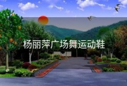 杨丽萍广场舞运动鞋