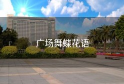 广场舞蝶花语