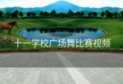 十一学校广场舞比赛视频