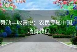 舞动丰收喜悦：农民专属中国广场舞教程