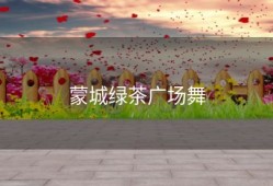蒙城绿茶广场舞