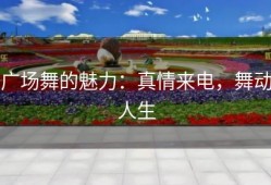 广场舞的魅力：真情来电，舞动人生