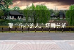 那个伤心的人广场舞分解