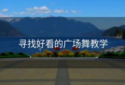 寻找好看的广场舞教学