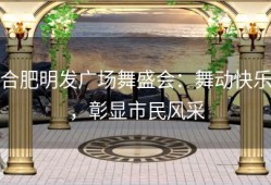 合肥明发广场舞盛会：舞动快乐，彰显市民风采