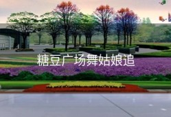 糖豆广场舞姑娘追