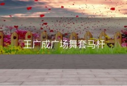 王广成广场舞套马杆