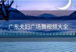 广东夫妇广场舞视频大全