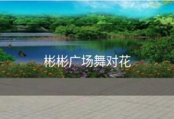 彬彬广场舞对花
