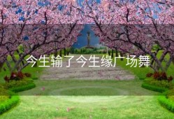 今生输了今生缘广场舞