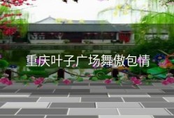 重庆叶子广场舞傲包情