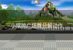 小摆胯广场舞分解动作