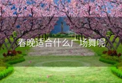 春晚适合什么广场舞呢