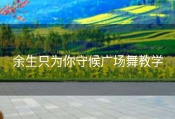 余生只为你守候广场舞教学