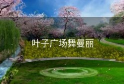 叶子广场舞曼丽