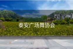 泰安广场舞协会