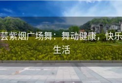 芸紫烟广场舞：舞动健康，快乐生活