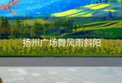 扬州广场舞风雨斜阳