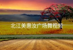 北江美惠汝广场舞视频