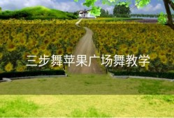 三步舞苹果广场舞教学