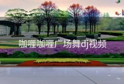 咖喱咖喱广场舞dj视频