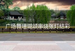 广场舞珊瑚颂串烧张灯结彩
