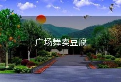 广场舞卖豆腐