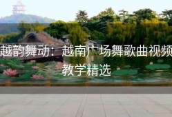 越韵舞动：越南广场舞歌曲视频教学精选