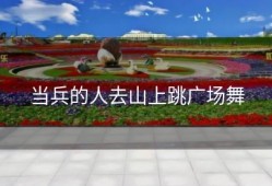 当兵的人去山上跳广场舞