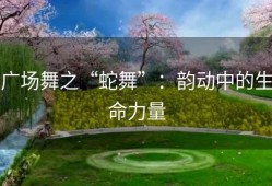 广场舞之“蛇舞”：韵动中的生命力量