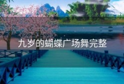 九岁的蝴蝶广场舞完整