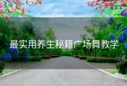 最实用养生秘籍广场舞教学