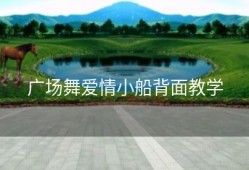 广场舞爱情小船背面教学
