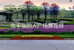 在乎我的人广场舞视频