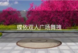蝶依双人广场舞拽