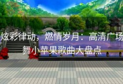炫彩律动，燃情岁月：高清广场舞小苹果歌曲大盘点