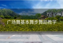 广场舞基本舞步舞蹈教学