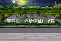 笑春风十六步弹跳广场舞