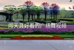 闯天涯好看的广场舞视频